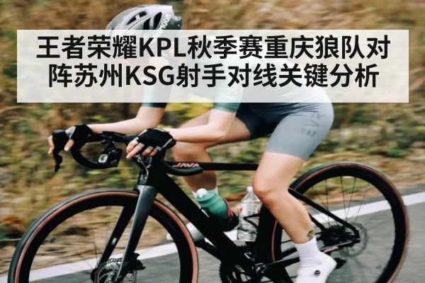 王者荣耀KPL秋季赛重庆狼队对阵苏州KSG射手对线关键分析
